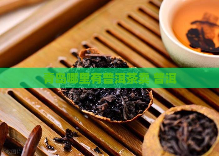 青岛哪里有普洱茶卖