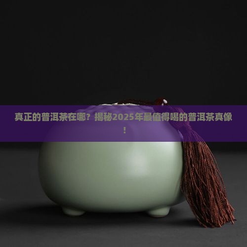 真正的普洱茶在哪