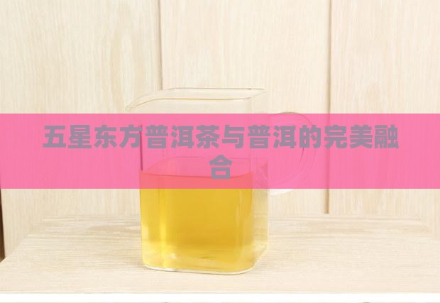 五星东方普洱茶