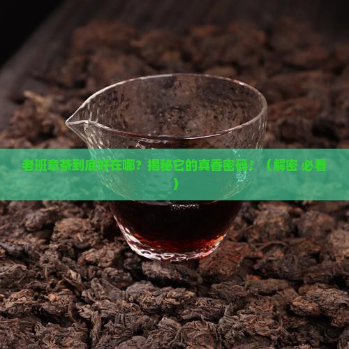 老班章茶好在哪