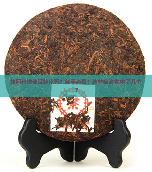 如何分辨普洱茶化石