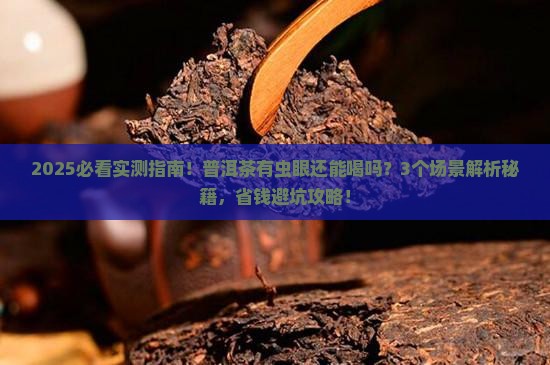 普洱茶有虫眼还能喝吗