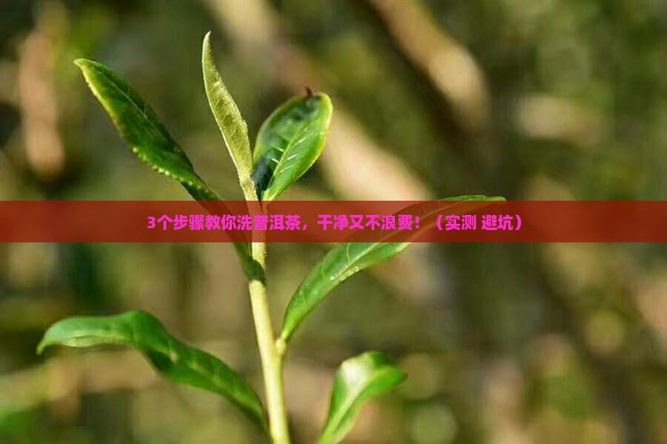 普洱茶怎么洗才会洗的干净