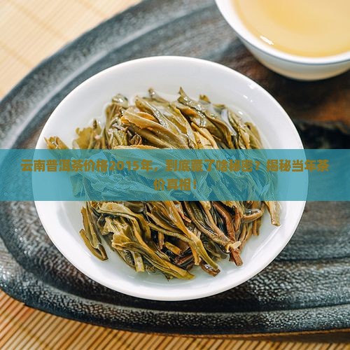 云南普洱茶价格2015年