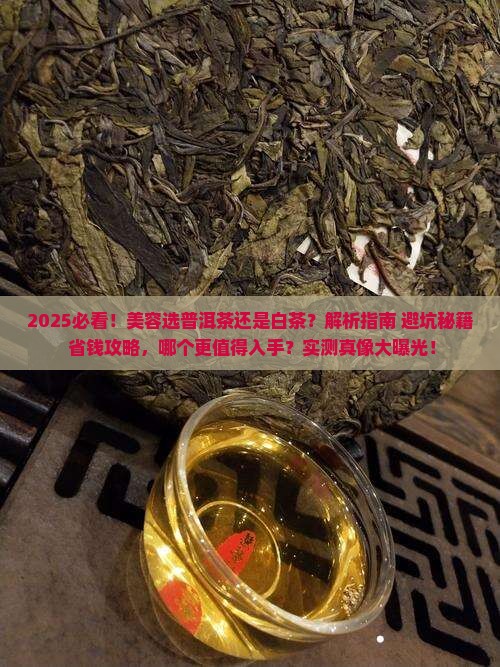 美容选普洱茶还是白茶的