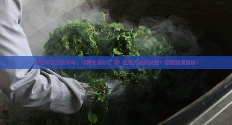 信记号普洱茶牛年