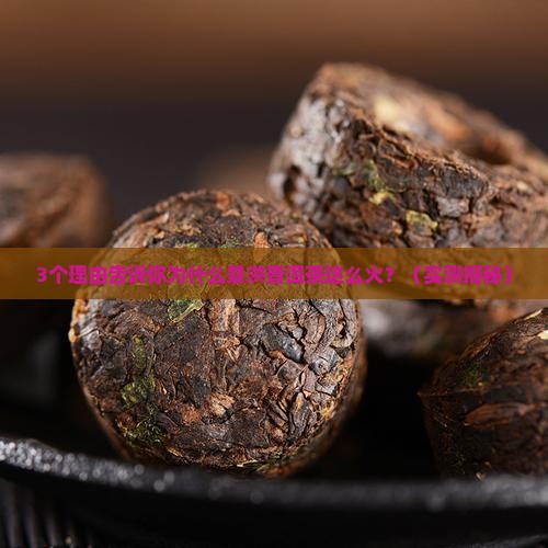 景洪普洱茶是什么茶
