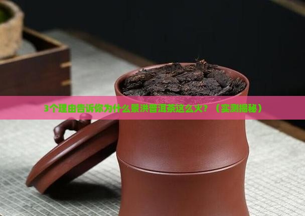 景洪普洱茶是什么茶