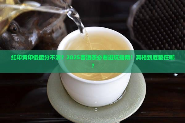 现在普洱茶红印与黄印