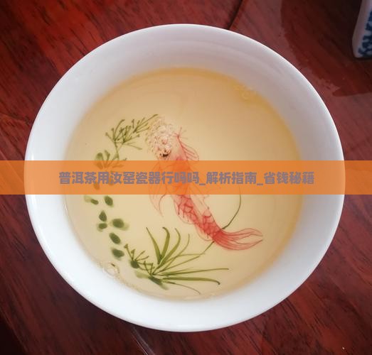普洱茶用汝窑瓷器行吗吗