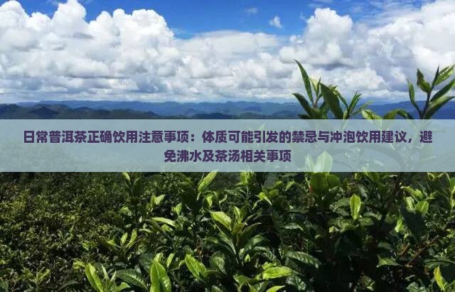 日常喝普洱茶注意事项