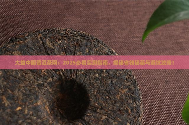 大益中国普洱茶网
