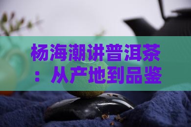 杨海潮讲普洱茶