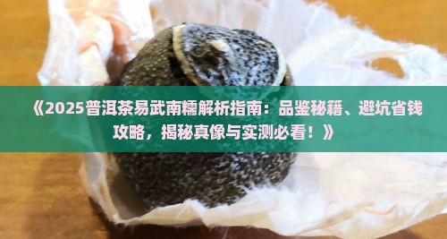 普洱茶易武南糯