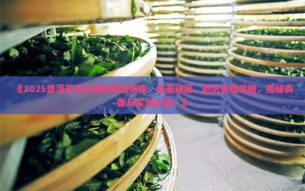 普洱茶易武南糯