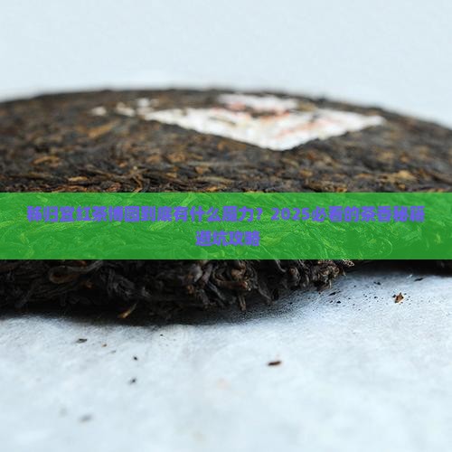 秭归宜红茶博园