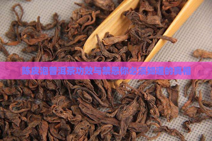 陈皮泡普洱茶功效与禁忌