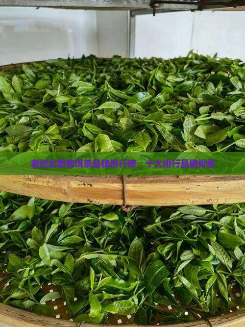 老挝北部普洱茶品牌排行榜