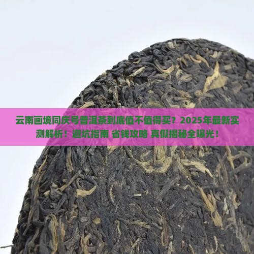 云南画境同庆号普洱茶