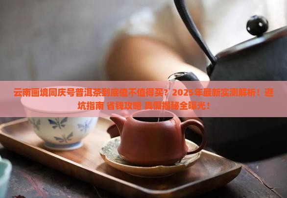 云南画境同庆号普洱茶