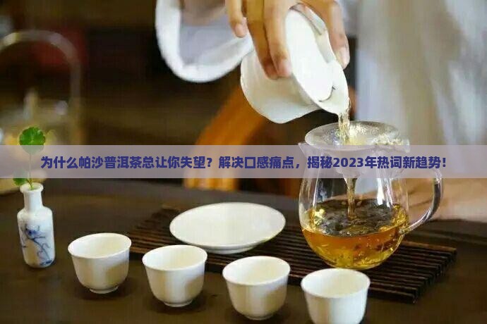 帕沙普洱茶评茶