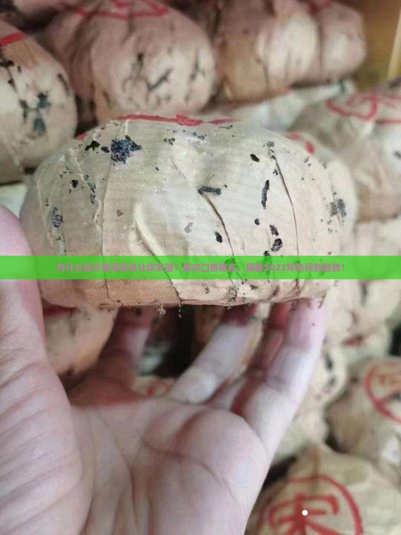 帕沙普洱茶评茶