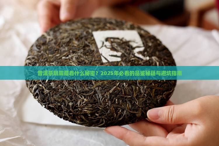 普洱茶最煽情解说