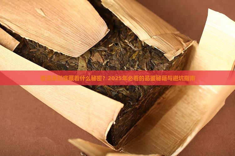 普洱茶最煽情解说