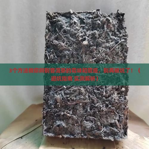 怎么辨别普洱茶的霉味和瑕疵