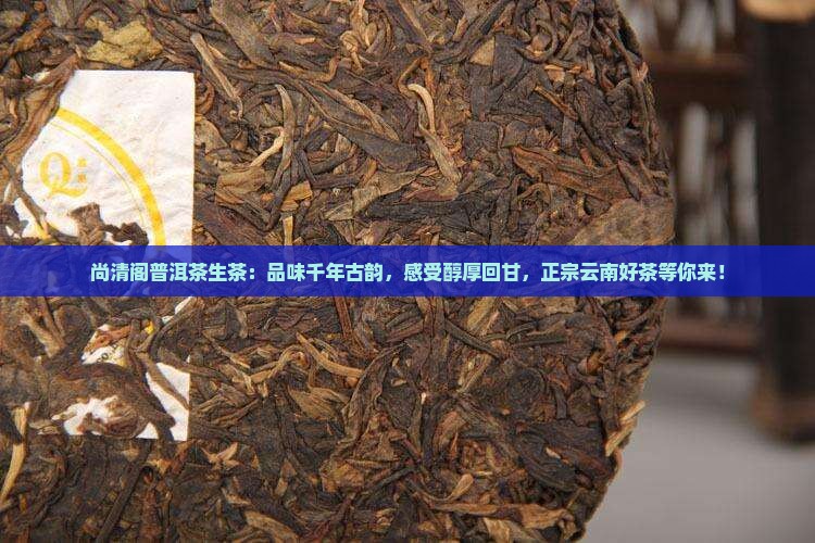 尚清阁普洱茶生茶