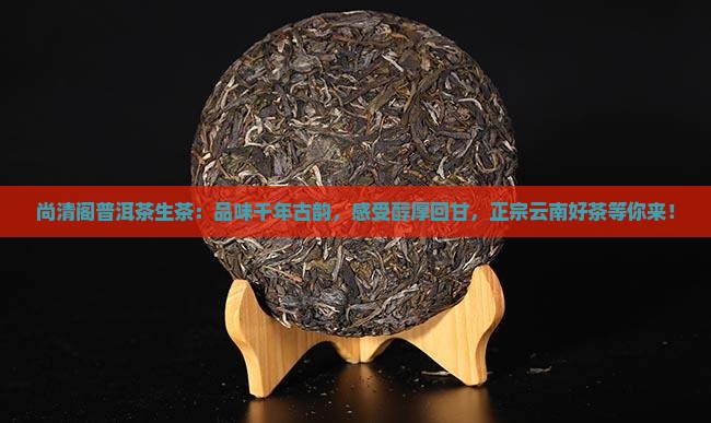 尚清阁普洱茶生茶