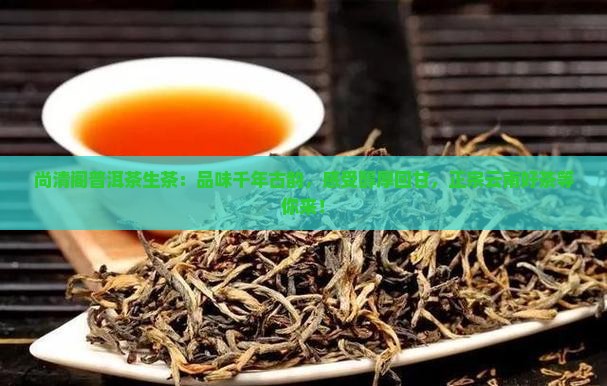 尚清阁普洱茶生茶