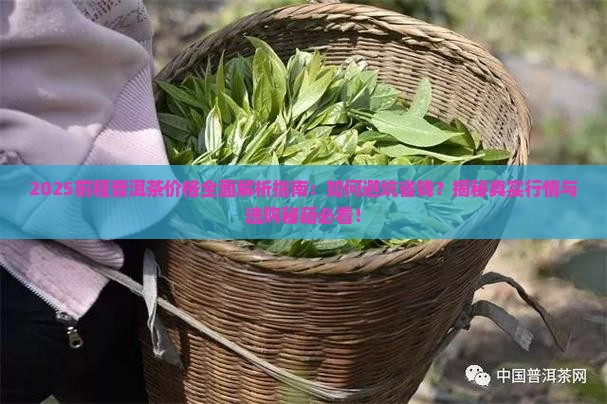 前程普洱茶价格