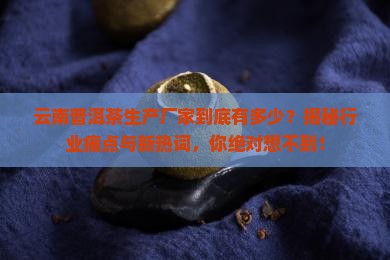 云南有多少普洱茶生产厂家
