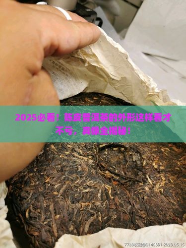 陈皮普洱茶的外形