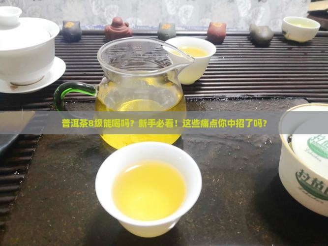 普洱茶8级能喝吗