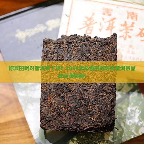 好看的普洱茶品牌