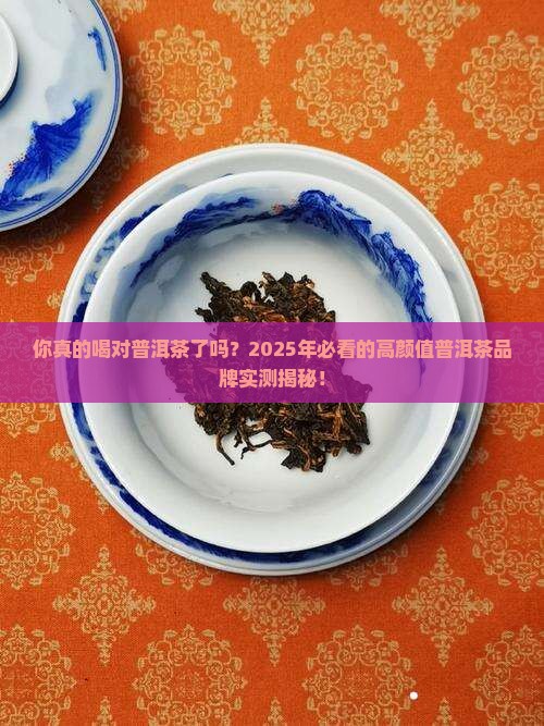 好看的普洱茶品牌