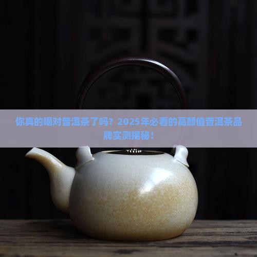 好看的普洱茶品牌