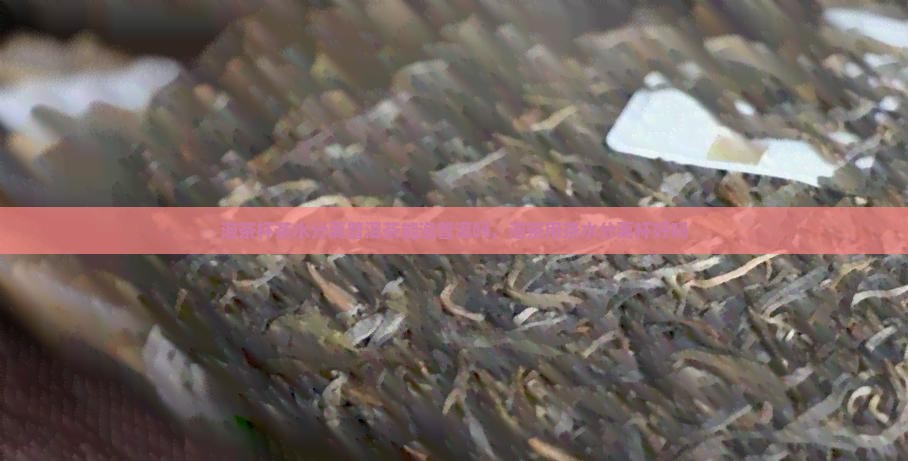 泡茶杯茶水分离普洱茶