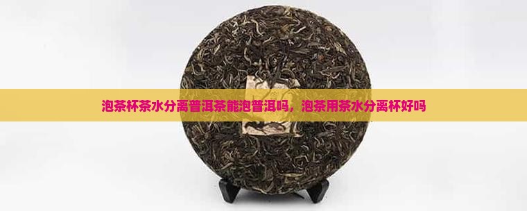 泡茶杯茶水分离普洱茶