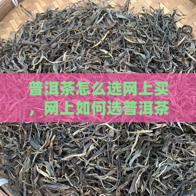 普洱茶怎么选网上