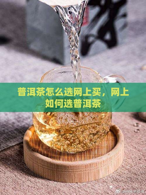 普洱茶怎么选网上