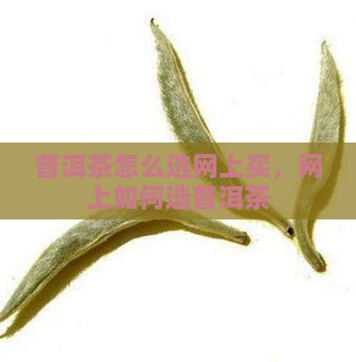 普洱茶怎么选网上