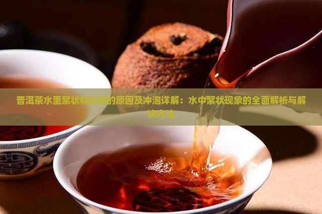 普洱茶泡水里有絮状物