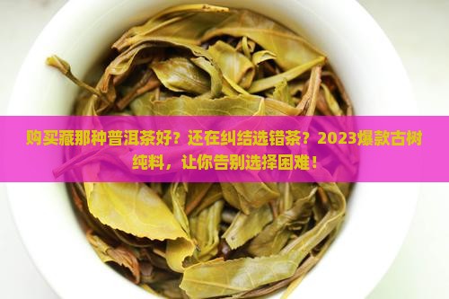 购买藏那种普洱茶好