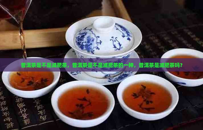 普洱茶是不是减肥茶