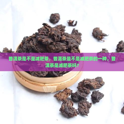 普洱茶是不是减肥茶