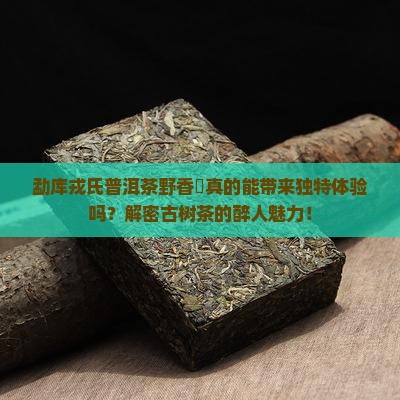 勐库戎氏普洱茶野香酔