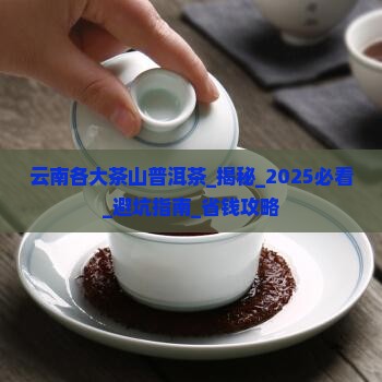 云南各大茶山普洱茶